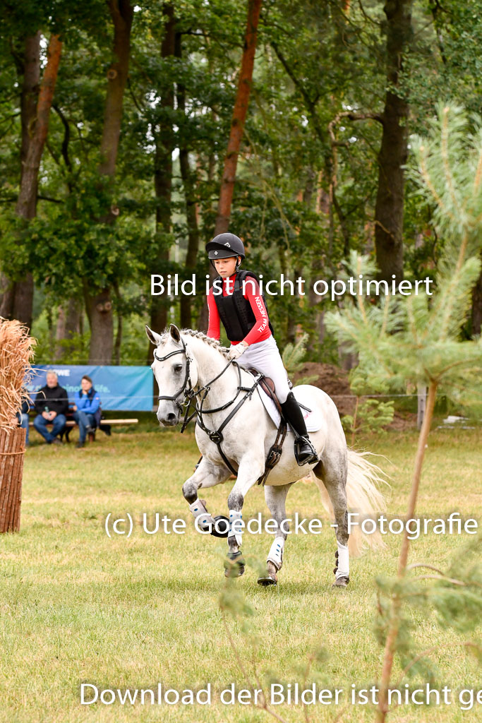 Goldene Schärpe Ponys in Hohenberg Krusemark 2024 | 13072024 Gelände 1 Abt_453 