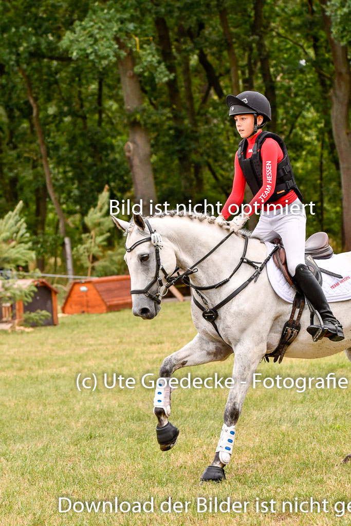 Goldene Schärpe Ponys in Hohenberg Krusemark 2024 | 13072024 Gelände 1 Abt_454 