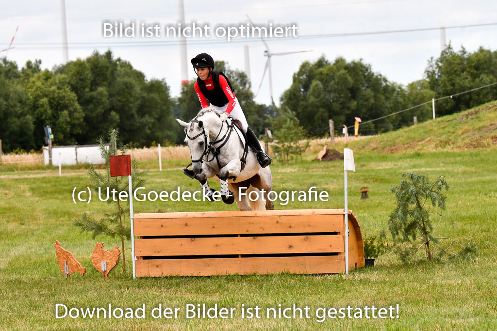 Goldene Schärpe Ponys in Hohenberg Krusemark 2024 | 13072024 Gelände 1 Abt_458 