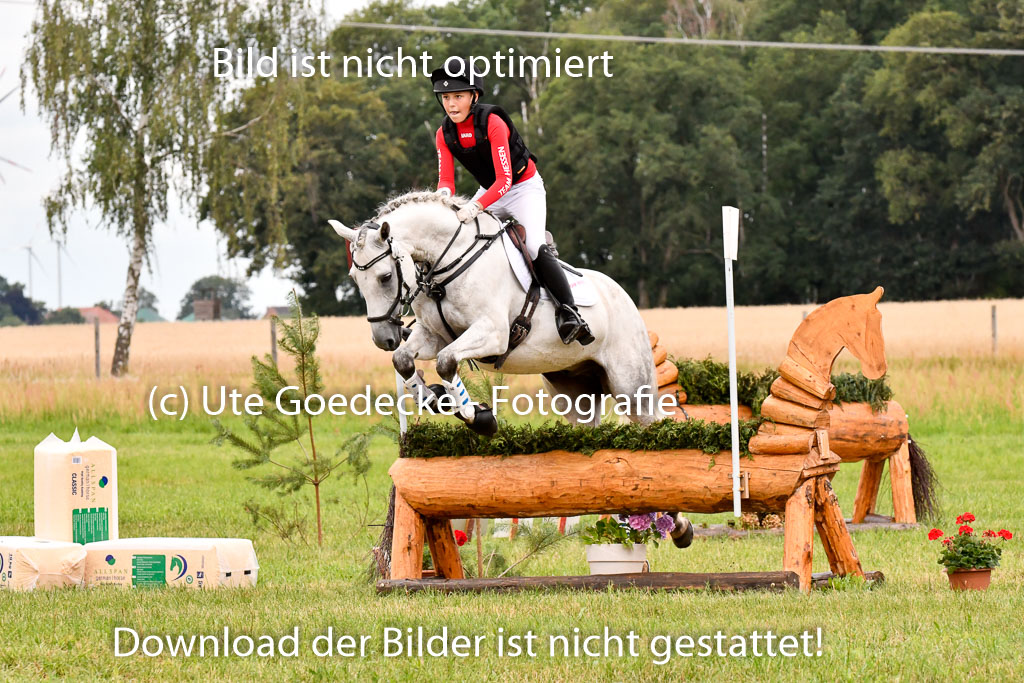 Goldene Schärpe Ponys in Hohenberg Krusemark 2024 | 13072024 Gelände 1 Abt_462 