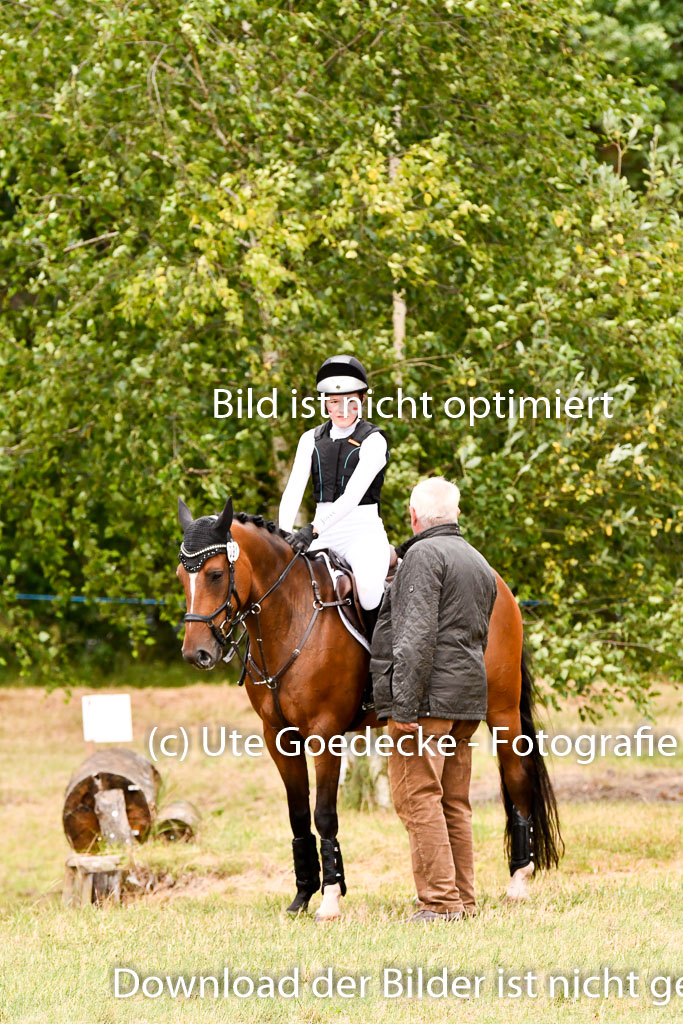 Goldene Schärpe Ponys in Hohenberg Krusemark 2024 | 13072024 Gelände 1 Abt_463 