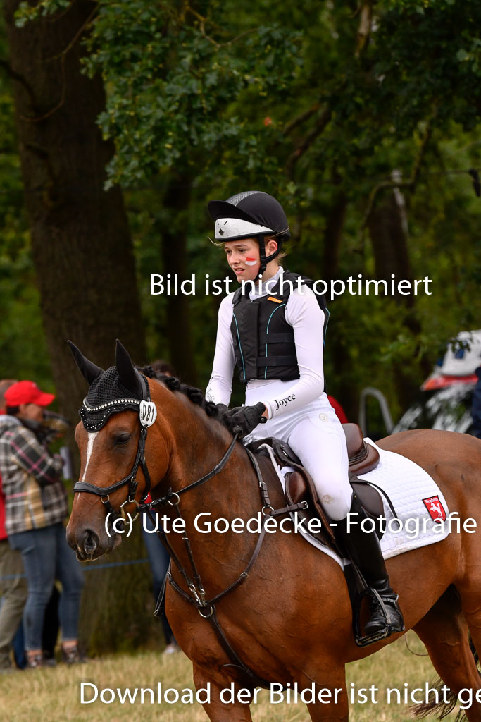 Goldene Schärpe Ponys in Hohenberg Krusemark 2024 | 13072024 Gelände 1 Abt_468 