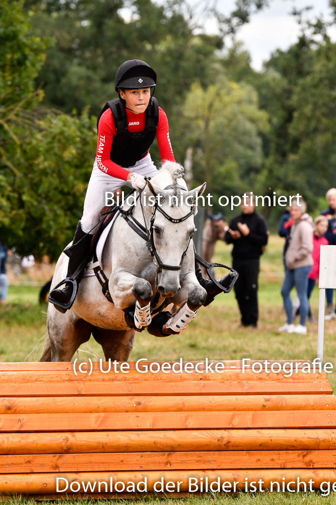 Goldene Schärpe Ponys in Hohenberg Krusemark 2024 | 13072024 Gelände 1 Abt_469 