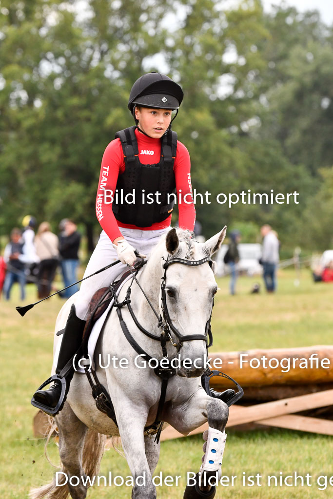 Goldene Schärpe Ponys in Hohenberg Krusemark 2024 | 13072024 Gelände 1 Abt_471 