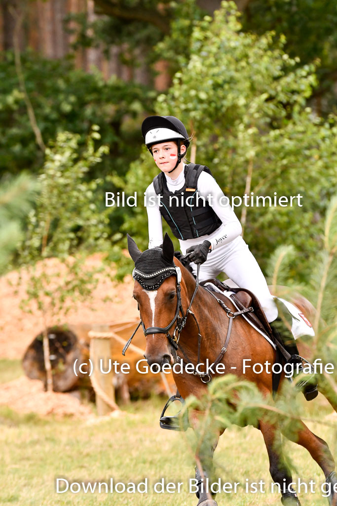 Goldene Schärpe Ponys in Hohenberg Krusemark 2024 | 13072024 Gelände 1 Abt_473 