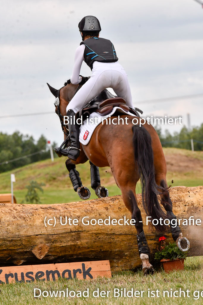 Goldene Schärpe Ponys in Hohenberg Krusemark 2024 | 13072024 Gelände 1 Abt_474 