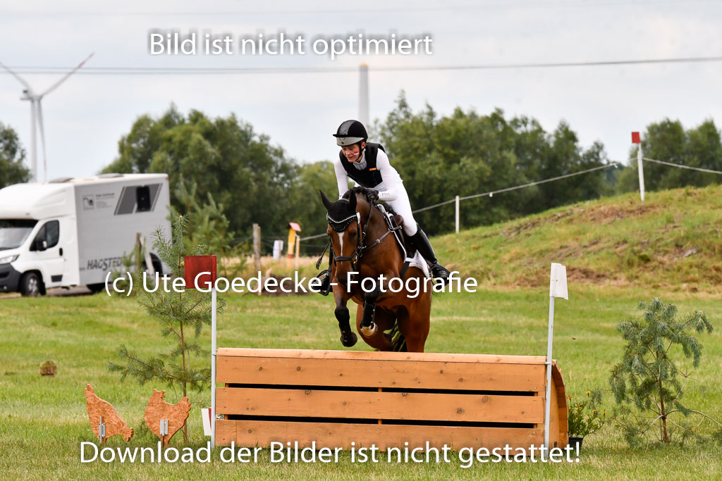 Goldene Schärpe Ponys in Hohenberg Krusemark 2024 | 13072024 Gelände 1 Abt_475 