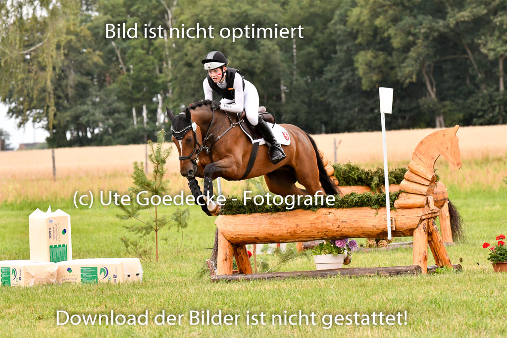 Goldene Schärpe Ponys in Hohenberg Krusemark 2024 | 13072024 Gelände 1 Abt_478 