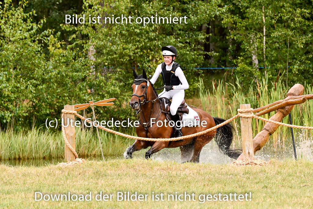 Goldene Schärpe Ponys in Hohenberg Krusemark 2024 | 13072024 Gelände 1 Abt_479 