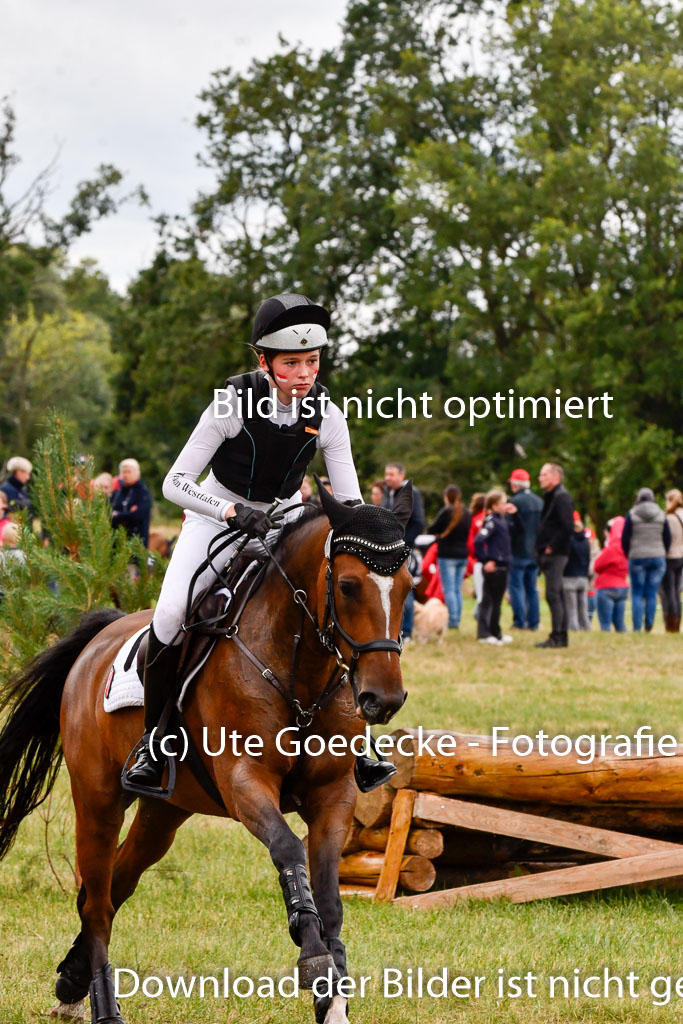 Goldene Schärpe Ponys in Hohenberg Krusemark 2024 | 13072024 Gelände 1 Abt_488 