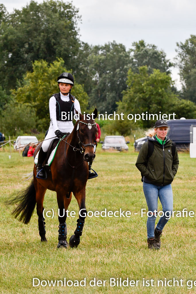 Goldene Schärpe Ponys in Hohenberg Krusemark 2024 | 13072024 Gelände 1 Abt_491 