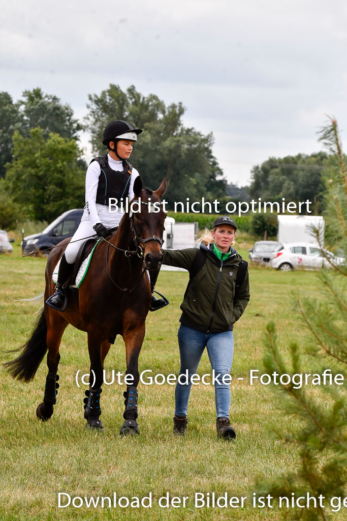 Goldene Schärpe Ponys in Hohenberg Krusemark 2024 | 13072024 Gelände 1 Abt_492 