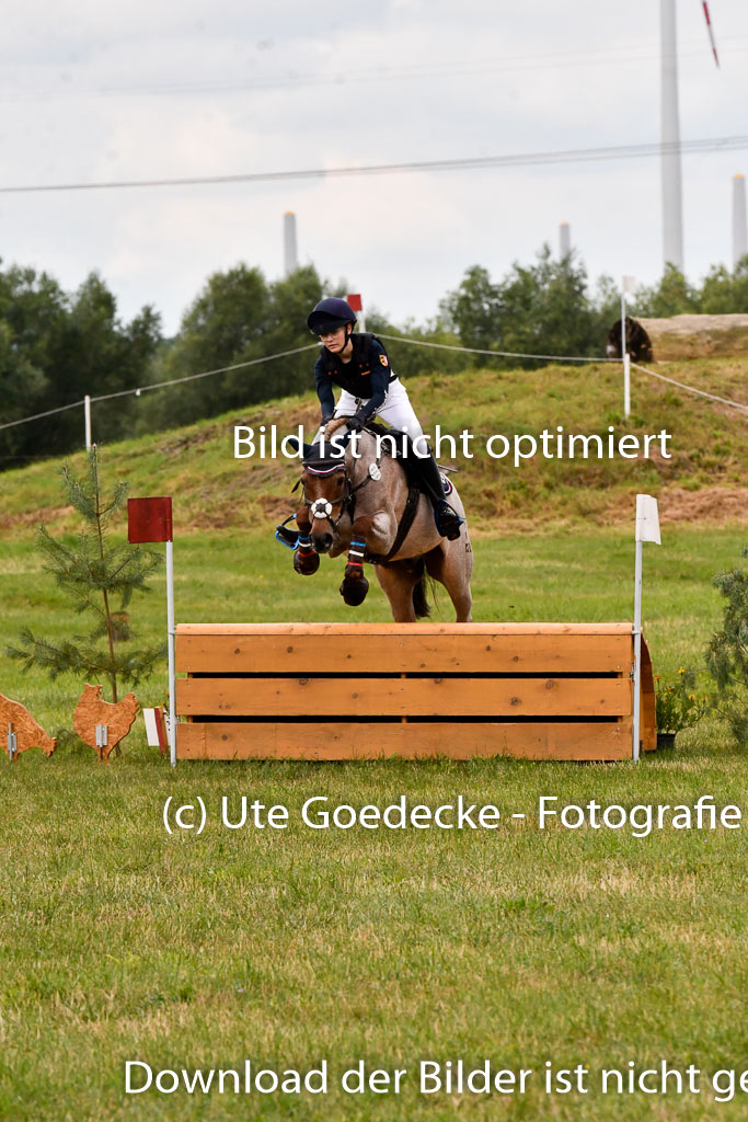 Goldene Schärpe Ponys in Hohenberg Krusemark 2024 | 13072024 Gelände 1 Abt_494 