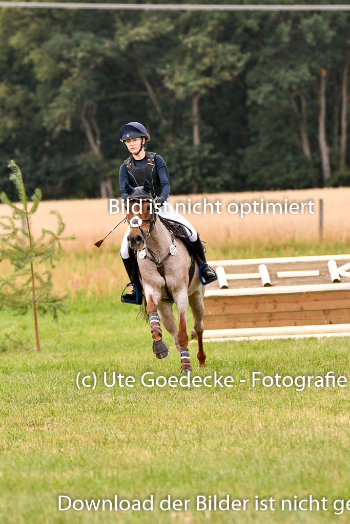 Goldene Schärpe Ponys in Hohenberg Krusemark 2024 | 13072024 Gelände 1 Abt_495 