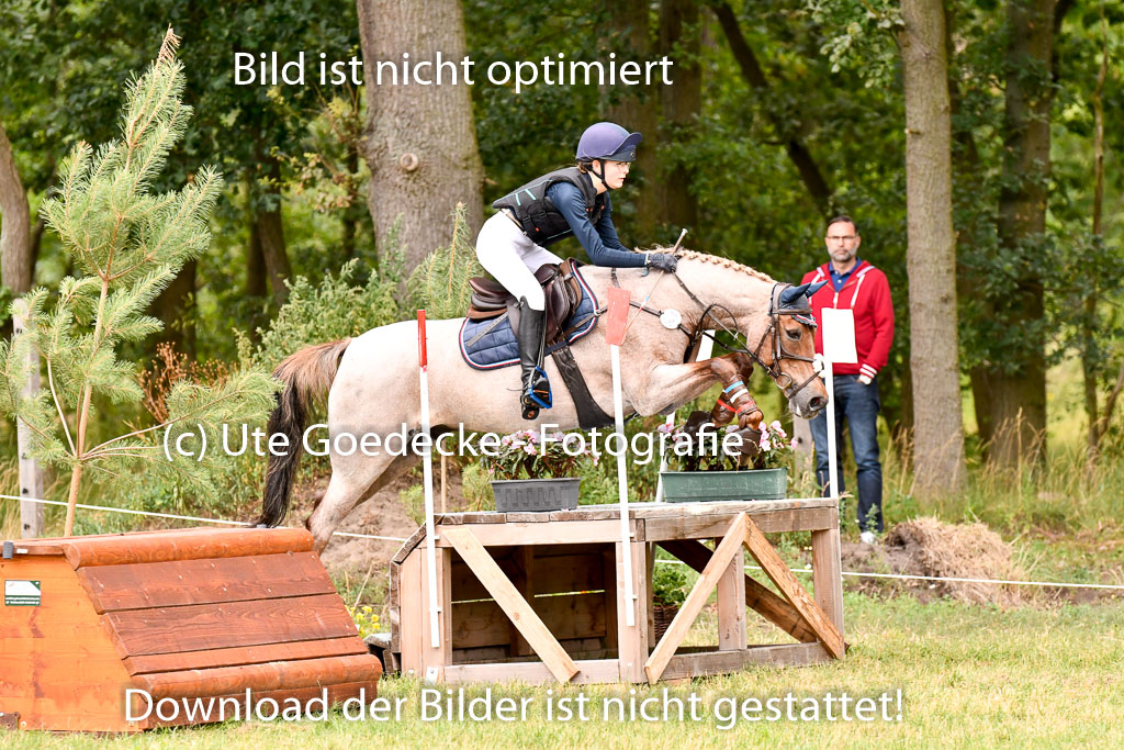 Goldene Schärpe Ponys in Hohenberg Krusemark 2024 | 13072024 Gelände 1 Abt_500 