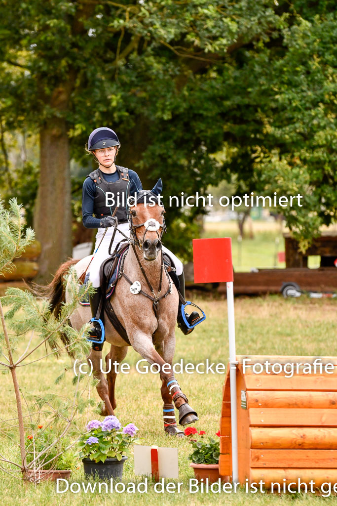 Goldene Schärpe Ponys in Hohenberg Krusemark 2024 | 13072024 Gelände 1 Abt_501