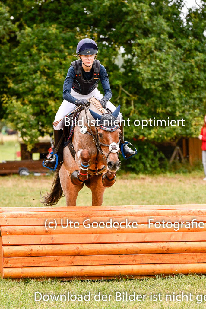 Goldene Schärpe Ponys in Hohenberg Krusemark 2024 | 13072024 Gelände 1 Abt_502