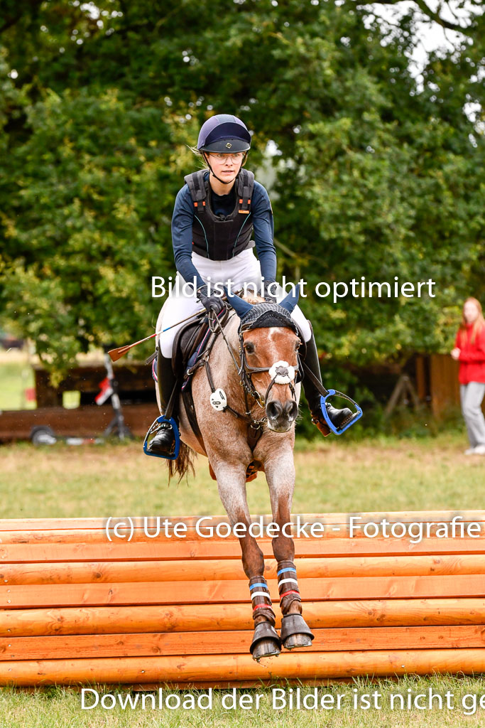 Goldene Schärpe Ponys in Hohenberg Krusemark 2024 | 13072024 Gelände 1 Abt_503
