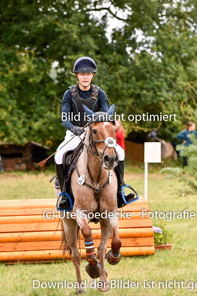Goldene Schärpe Ponys in Hohenberg Krusemark 2024 | 13072024 Gelände 1 Abt_504