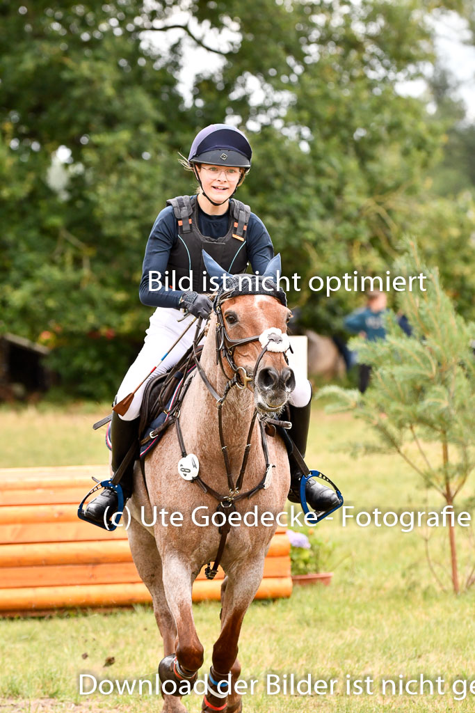 Goldene Schärpe Ponys in Hohenberg Krusemark 2024 | 13072024 Gelände 1 Abt_505