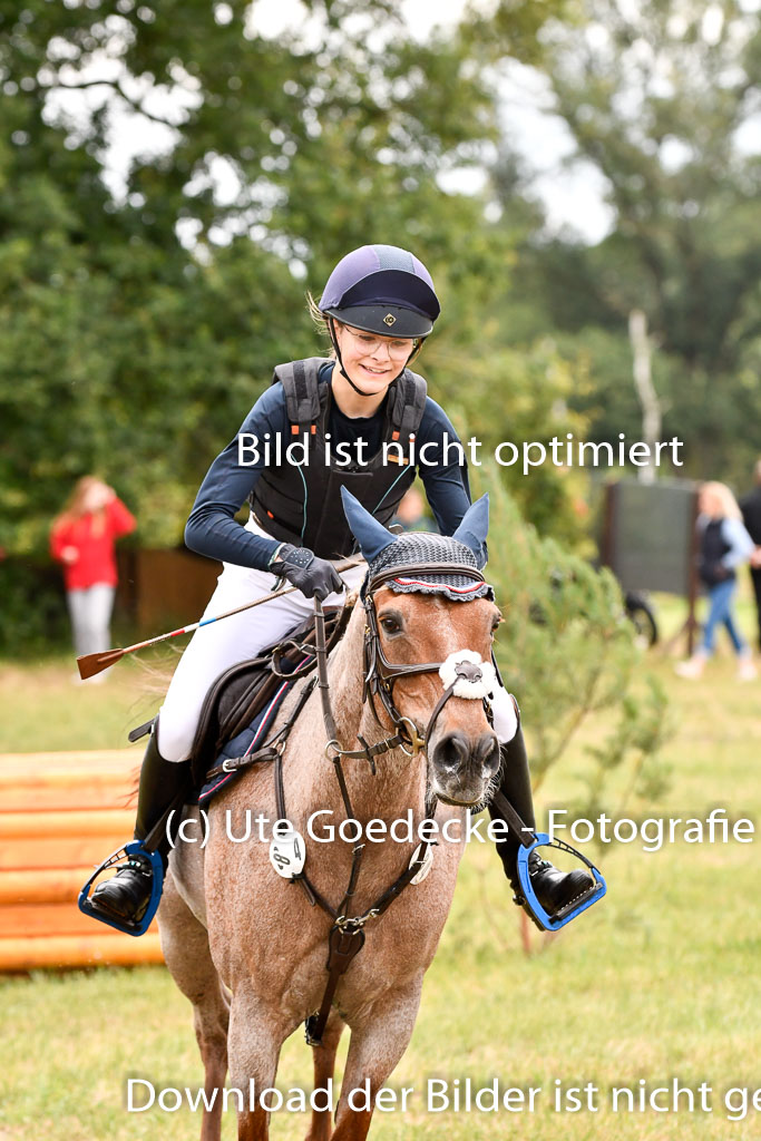 Goldene Schärpe Ponys in Hohenberg Krusemark 2024 | 13072024 Gelände 1 Abt_506