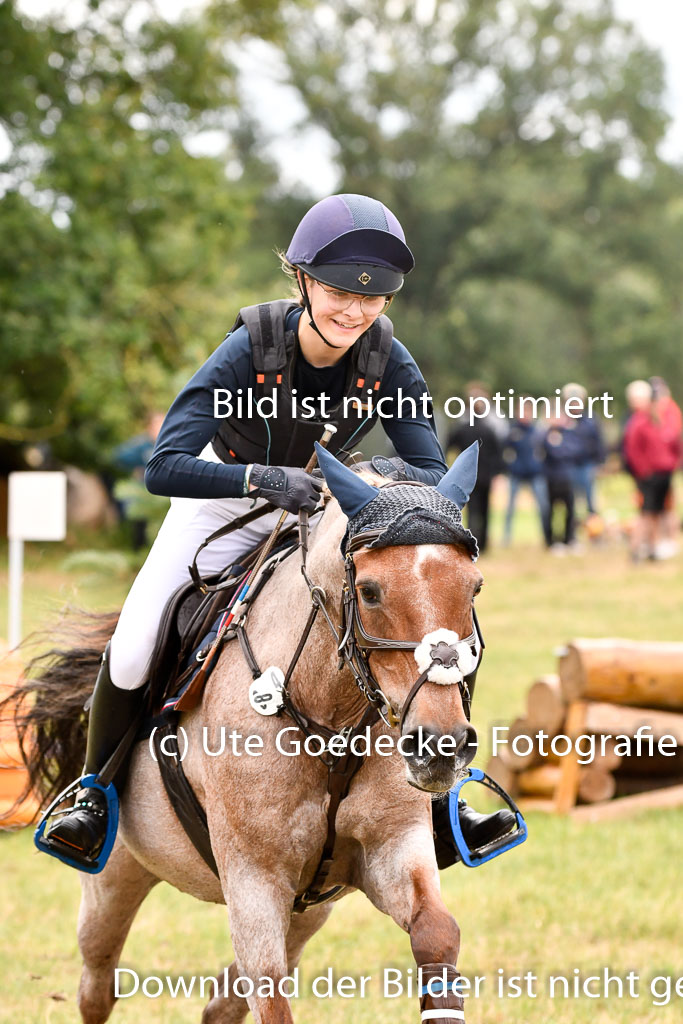 Goldene Schärpe Ponys in Hohenberg Krusemark 2024 | 13072024 Gelände 1 Abt_508