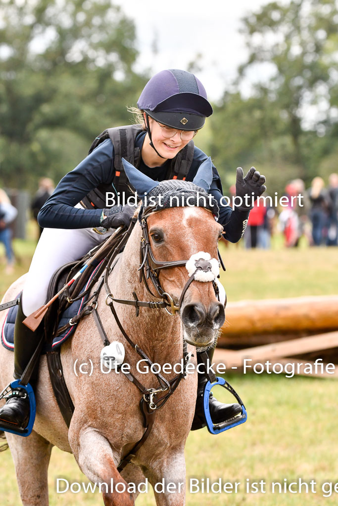 Goldene Schärpe Ponys in Hohenberg Krusemark 2024 | 13072024 Gelände 1 Abt_509