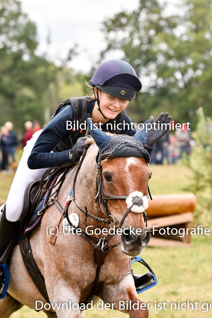 Goldene Schärpe Ponys in Hohenberg Krusemark 2024 | 13072024 Gelände 1 Abt_510