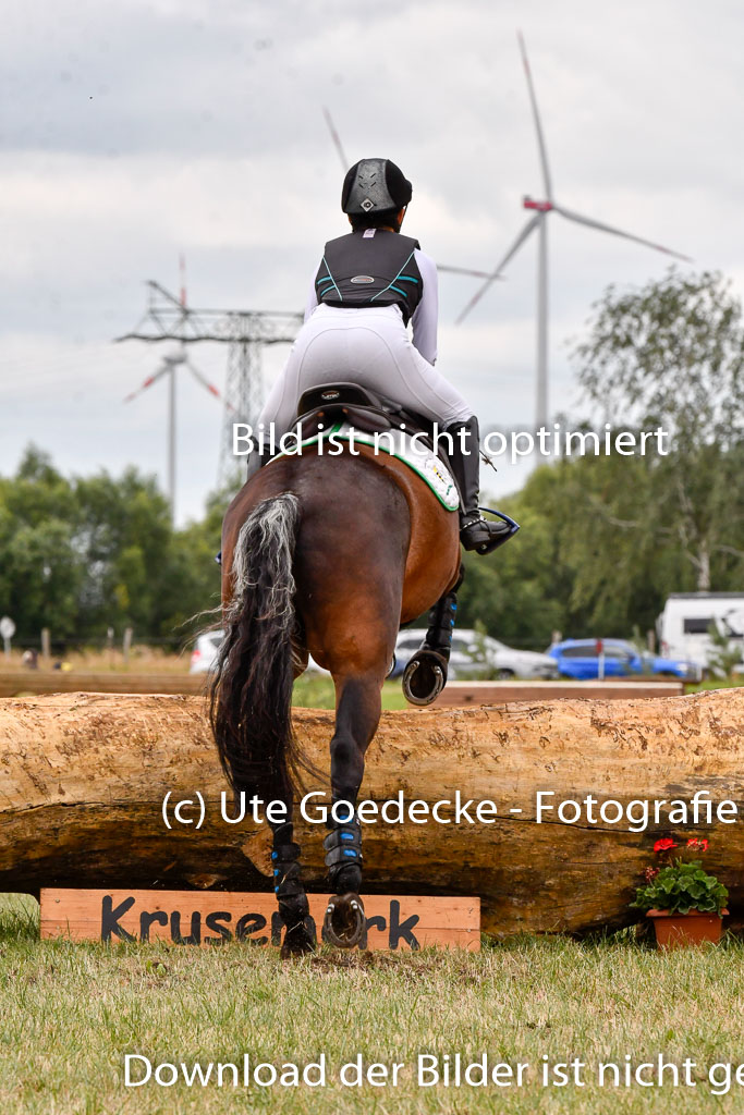Goldene Schärpe Ponys in Hohenberg Krusemark 2024 | 13072024 Gelände 1 Abt_511