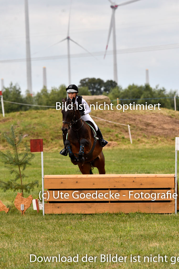 Goldene Schärpe Ponys in Hohenberg Krusemark 2024 | 13072024 Gelände 1 Abt_513