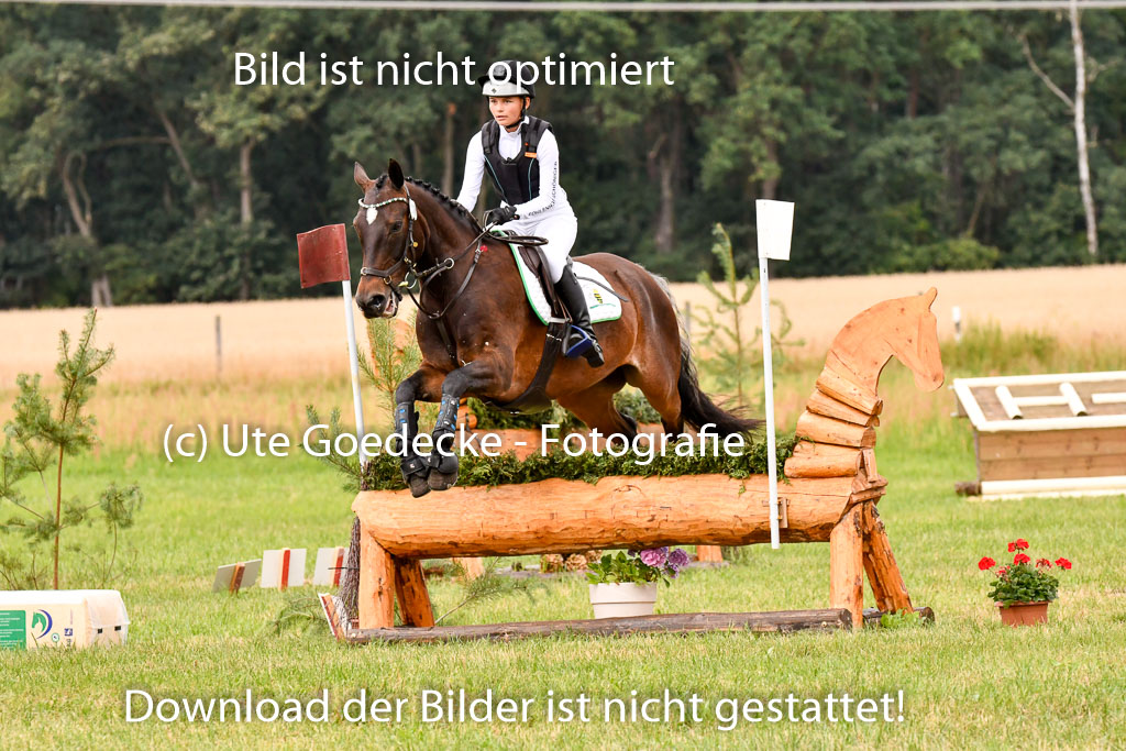 Goldene Schärpe Ponys in Hohenberg Krusemark 2024 | 13072024 Gelände 1 Abt_515