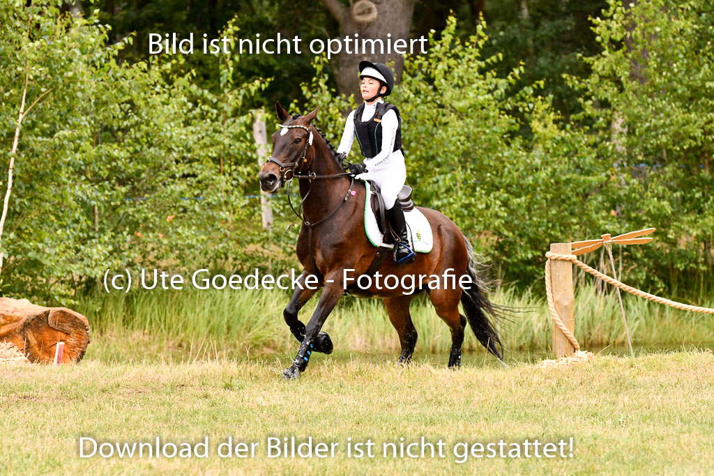 Goldene Schärpe Ponys in Hohenberg Krusemark 2024 | 13072024 Gelände 1 Abt_516