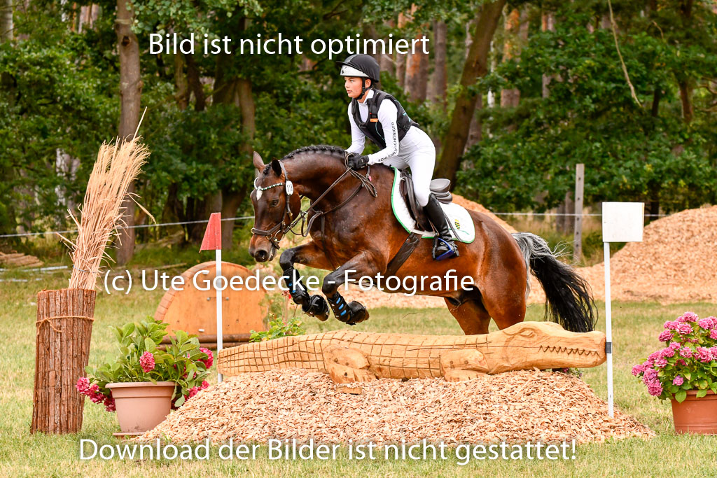 Goldene Schärpe Ponys in Hohenberg Krusemark 2024 | 13072024 Gelände 1 Abt_517