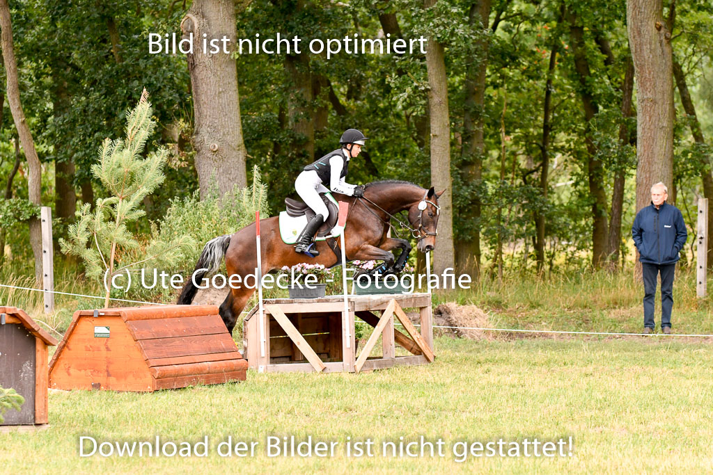 Goldene Schärpe Ponys in Hohenberg Krusemark 2024 | 13072024 Gelände 1 Abt_518
