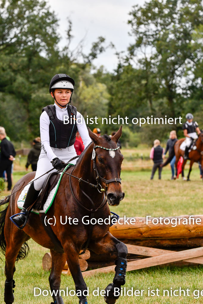 Goldene Schärpe Ponys in Hohenberg Krusemark 2024 | 13072024 Gelände 1 Abt_522