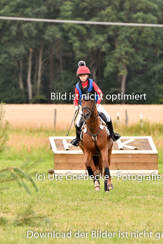 Goldene Schärpe Ponys in Hohenberg Krusemark 2024 | 13072024 Gelände 1 Abt_528