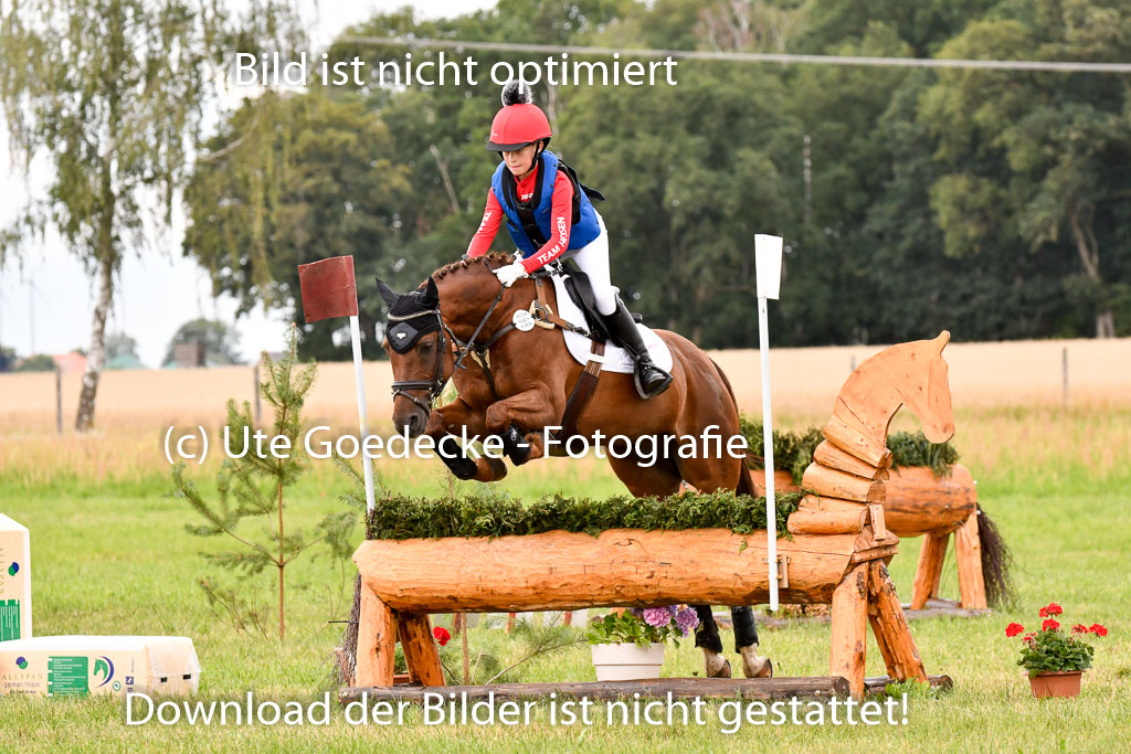 Goldene Schärpe Ponys in Hohenberg Krusemark 2024 | 13072024 Gelände 1 Abt_529