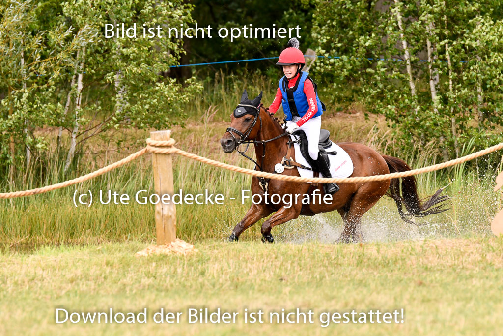Goldene Schärpe Ponys in Hohenberg Krusemark 2024 | 13072024 Gelände 1 Abt_530