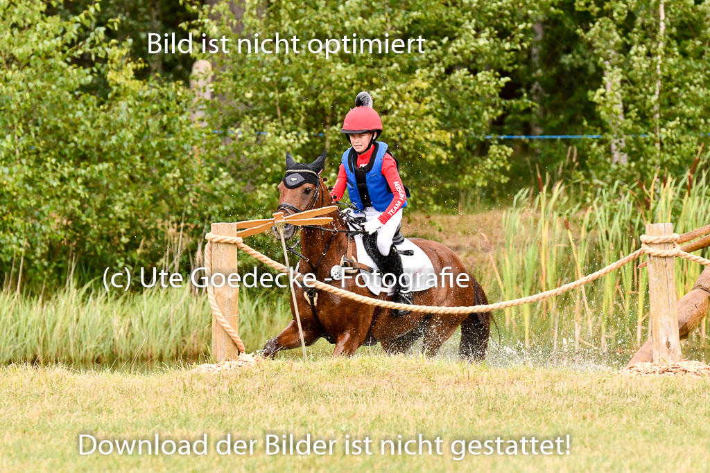 Goldene Schärpe Ponys in Hohenberg Krusemark 2024 | 13072024 Gelände 1 Abt_531