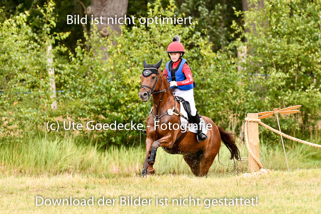 Goldene Schärpe Ponys in Hohenberg Krusemark 2024 | 13072024 Gelände 1 Abt_532