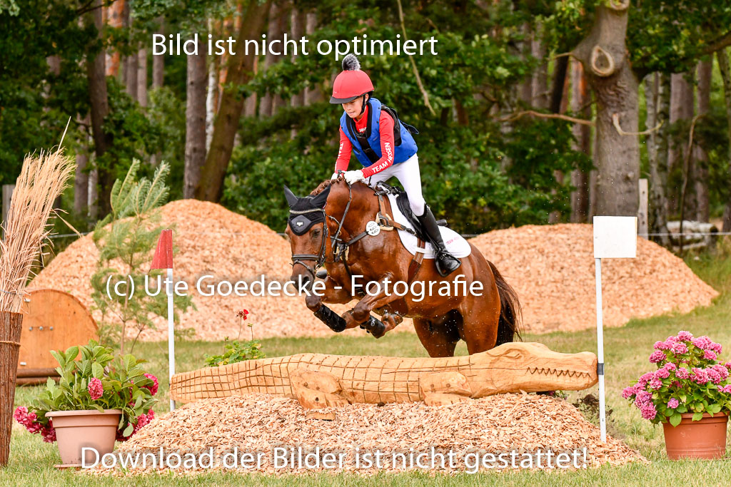 Goldene Schärpe Ponys in Hohenberg Krusemark 2024 | 13072024 Gelände 1 Abt_533