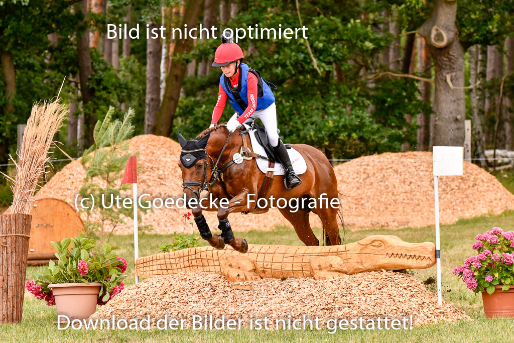Goldene Schärpe Ponys in Hohenberg Krusemark 2024 | 13072024 Gelände 1 Abt_534