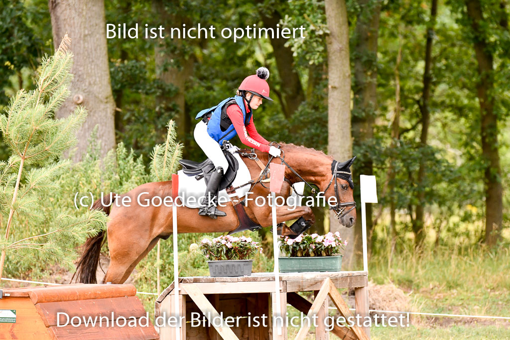 Goldene Schärpe Ponys in Hohenberg Krusemark 2024 | 13072024 Gelände 1 Abt_535
