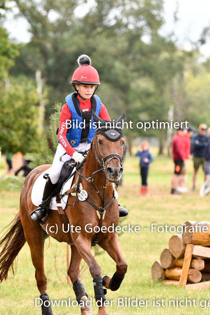 Goldene Schärpe Ponys in Hohenberg Krusemark 2024 | 13072024 Gelände 1 Abt_538