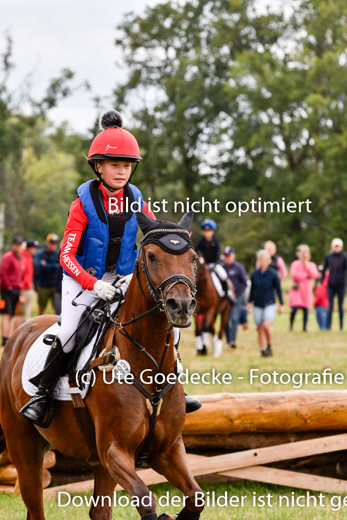 Goldene Schärpe Ponys in Hohenberg Krusemark 2024 | 13072024 Gelände 1 Abt_540