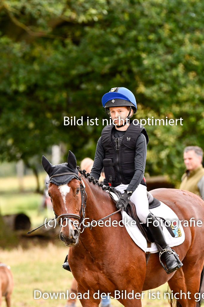 Goldene Schärpe Ponys in Hohenberg Krusemark 2024 | 13072024 Gelände 1 Abt_542