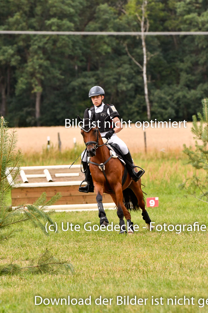 Goldene Schärpe Ponys in Hohenberg Krusemark 2024 | 13072024 Gelände 1 Abt_544