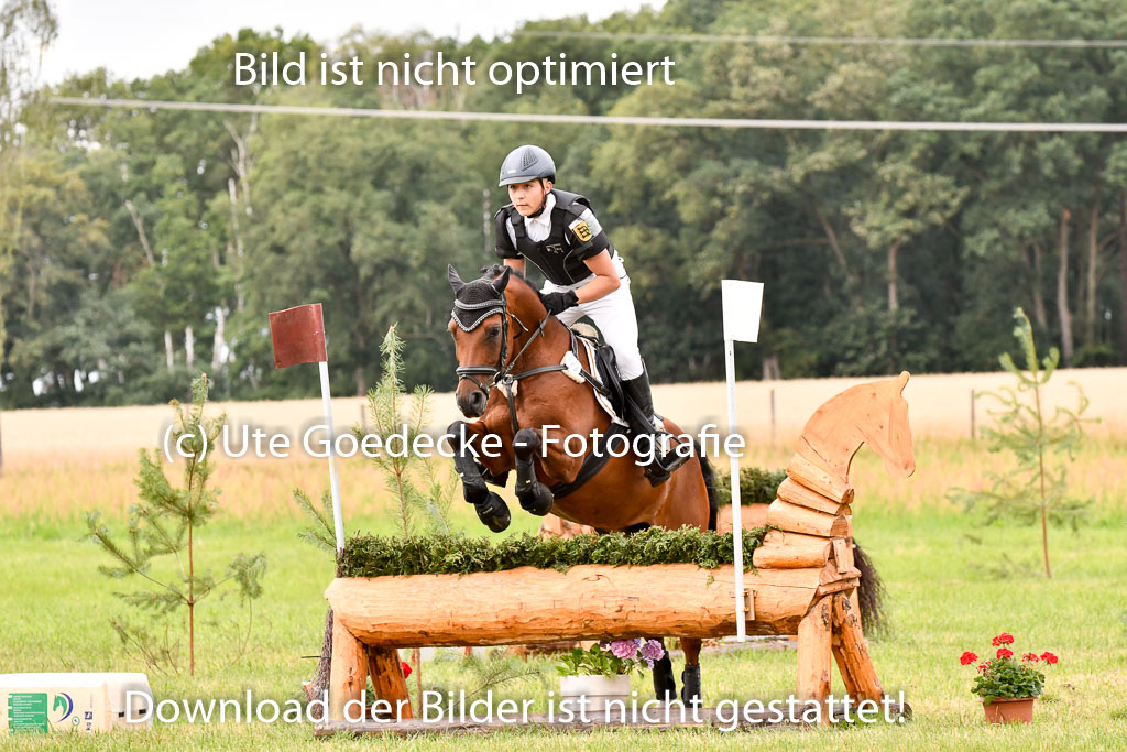 Goldene Schärpe Ponys in Hohenberg Krusemark 2024 | 13072024 Gelände 1 Abt_545