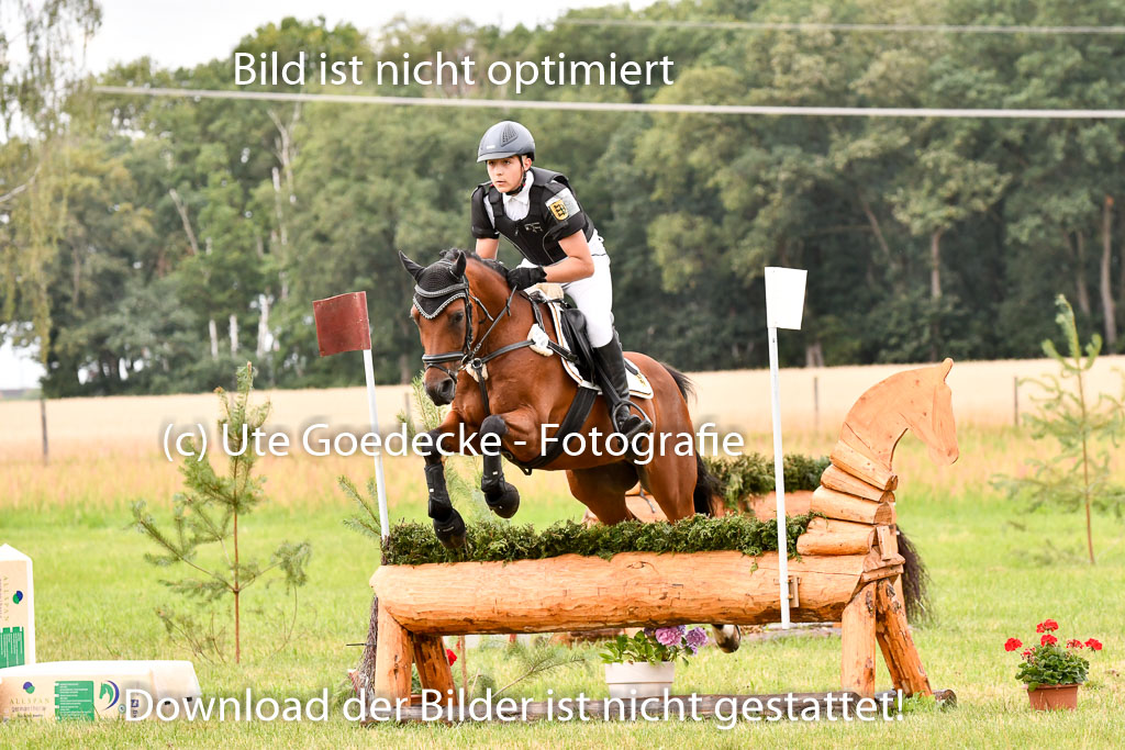 Goldene Schärpe Ponys in Hohenberg Krusemark 2024 | 13072024 Gelände 1 Abt_546