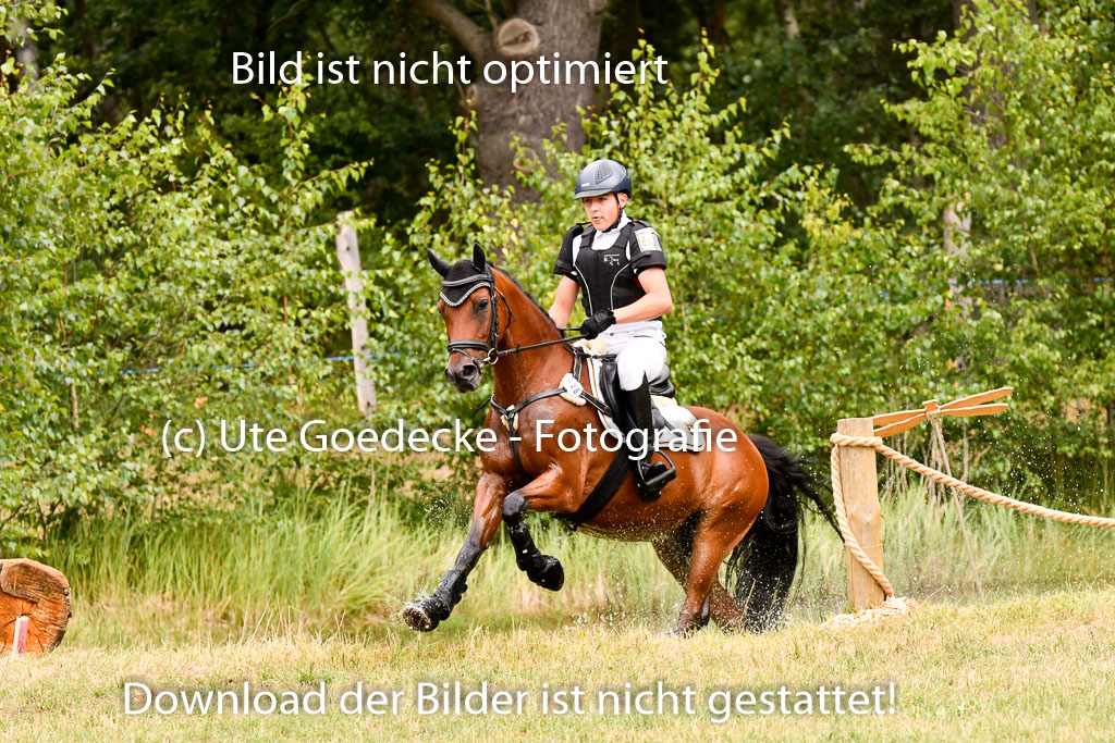 Goldene Schärpe Ponys in Hohenberg Krusemark 2024 | 13072024 Gelände 1 Abt_547